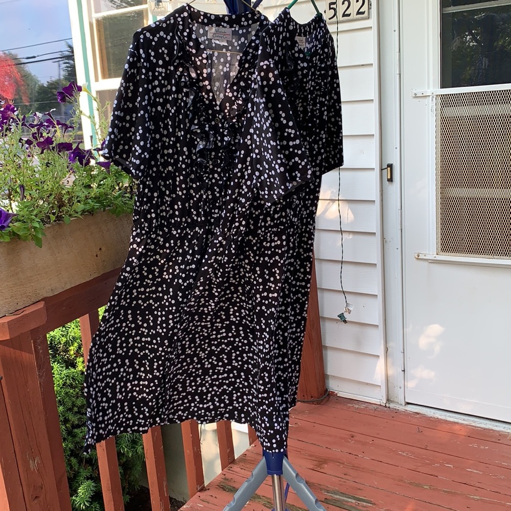 Going dotty - Picture 2 of 6